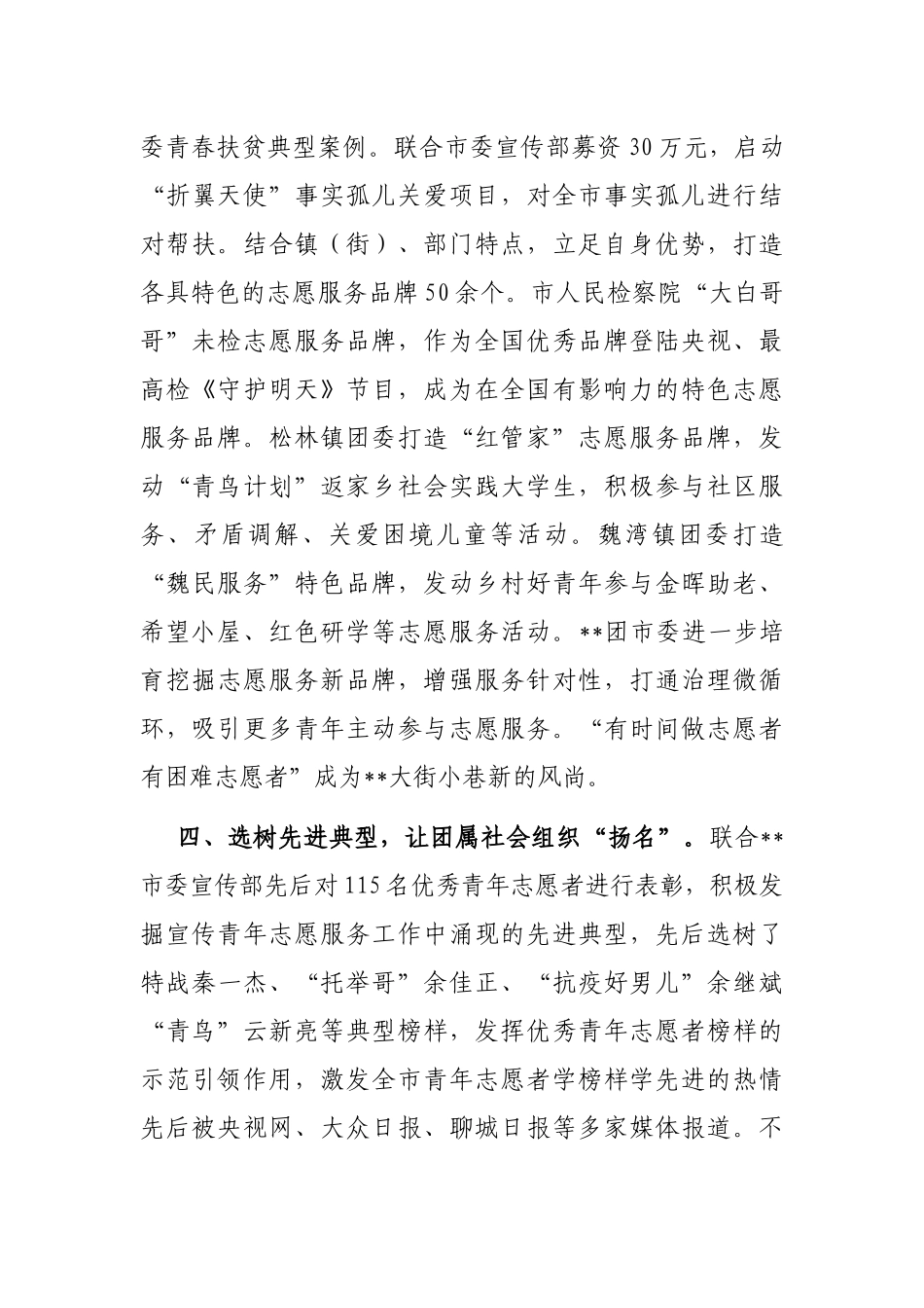 团委青年社会组织建设工作汇报_第3页