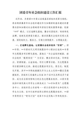 团委青年社会组织建设工作汇报