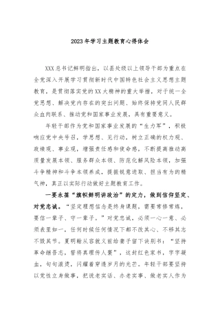 2023年学习主题教育心得体会