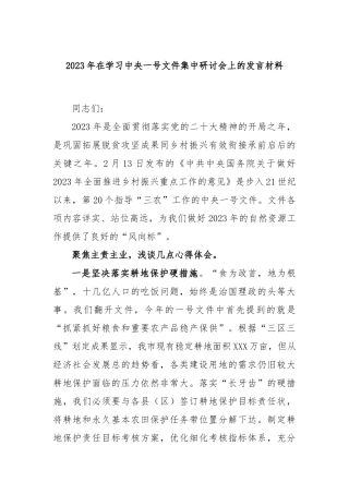 2023年在学习中央一号文件集中研讨会上的发言材料