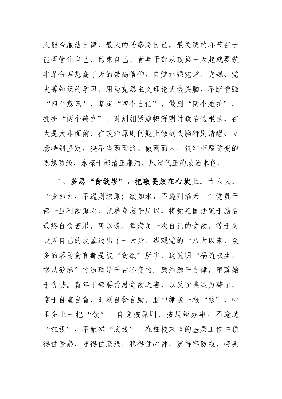 研讨发言：坚定不移推进全面从严治党 始终保持清正廉洁政治本色_第2页