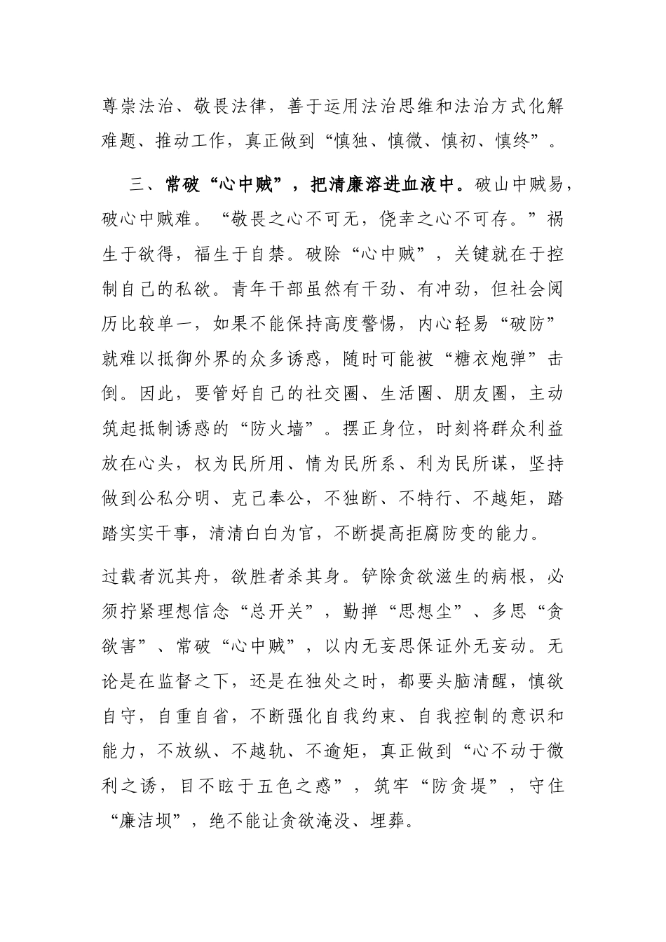研讨发言：坚定不移推进全面从严治党 始终保持清正廉洁政治本色_第3页