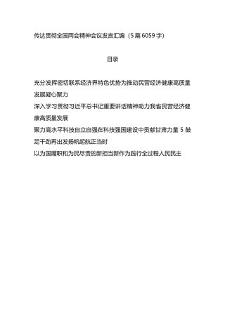 传达贯彻全国两会精神会议发言5篇