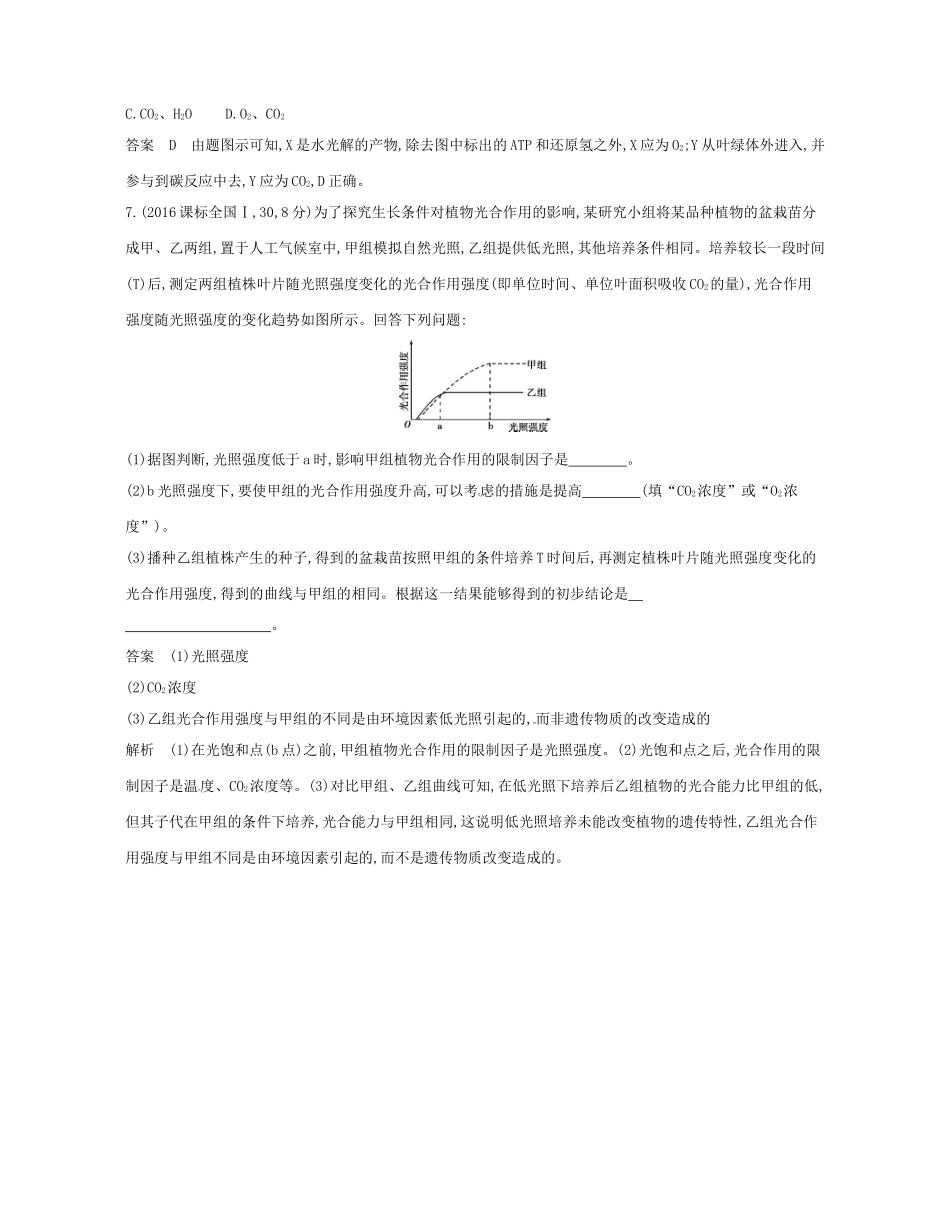 高考生物总复习 专题6 光合作用试题-人教版高三全册生物试题_第3页
