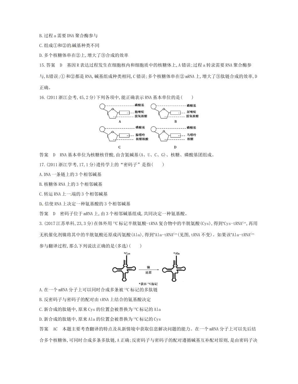 高考生物总复习 专题10 遗传的分子基础试题-人教版高三全册生物试题_第3页