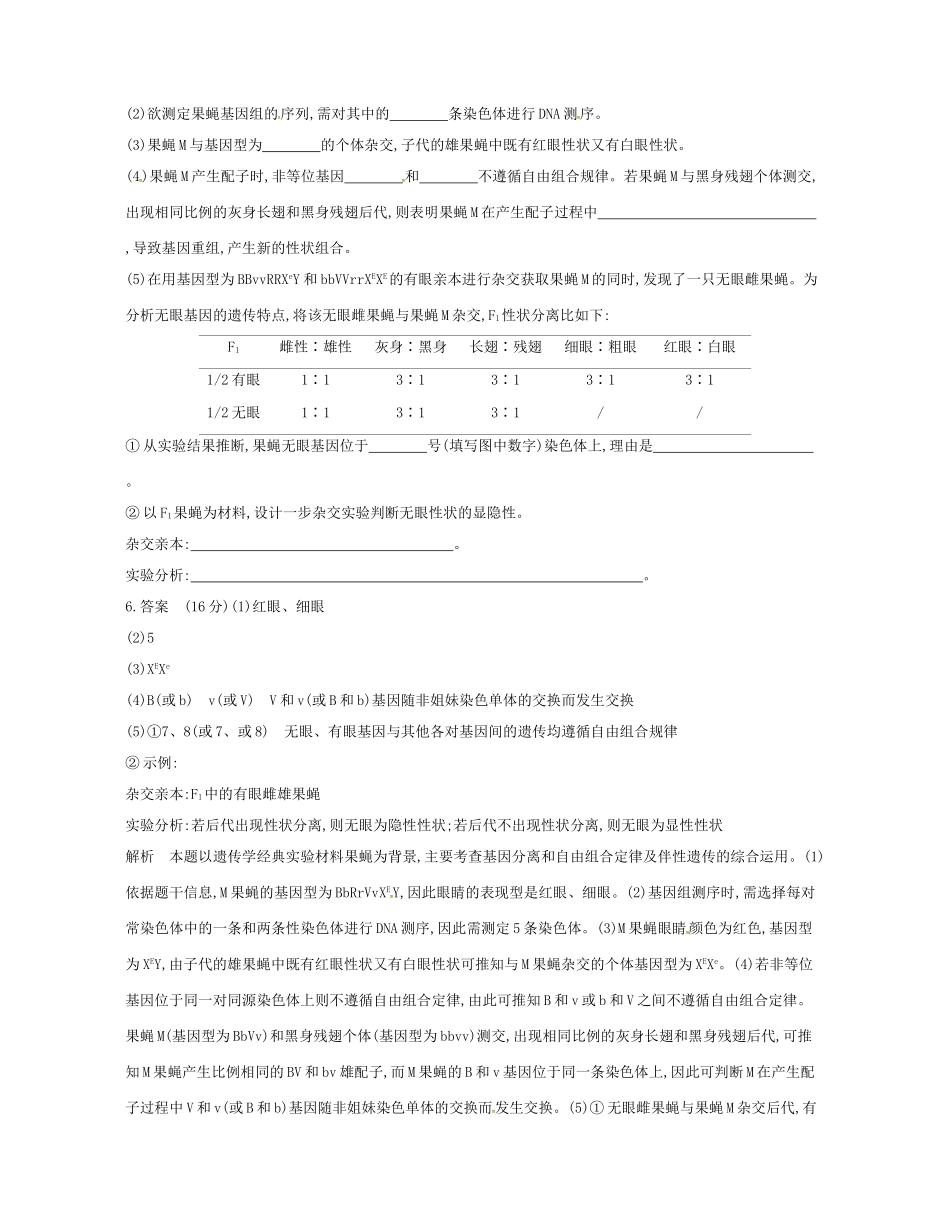 高考生物总复习 专题13 性染色体与伴性遗传试题-人教版高三全册生物试题_第2页