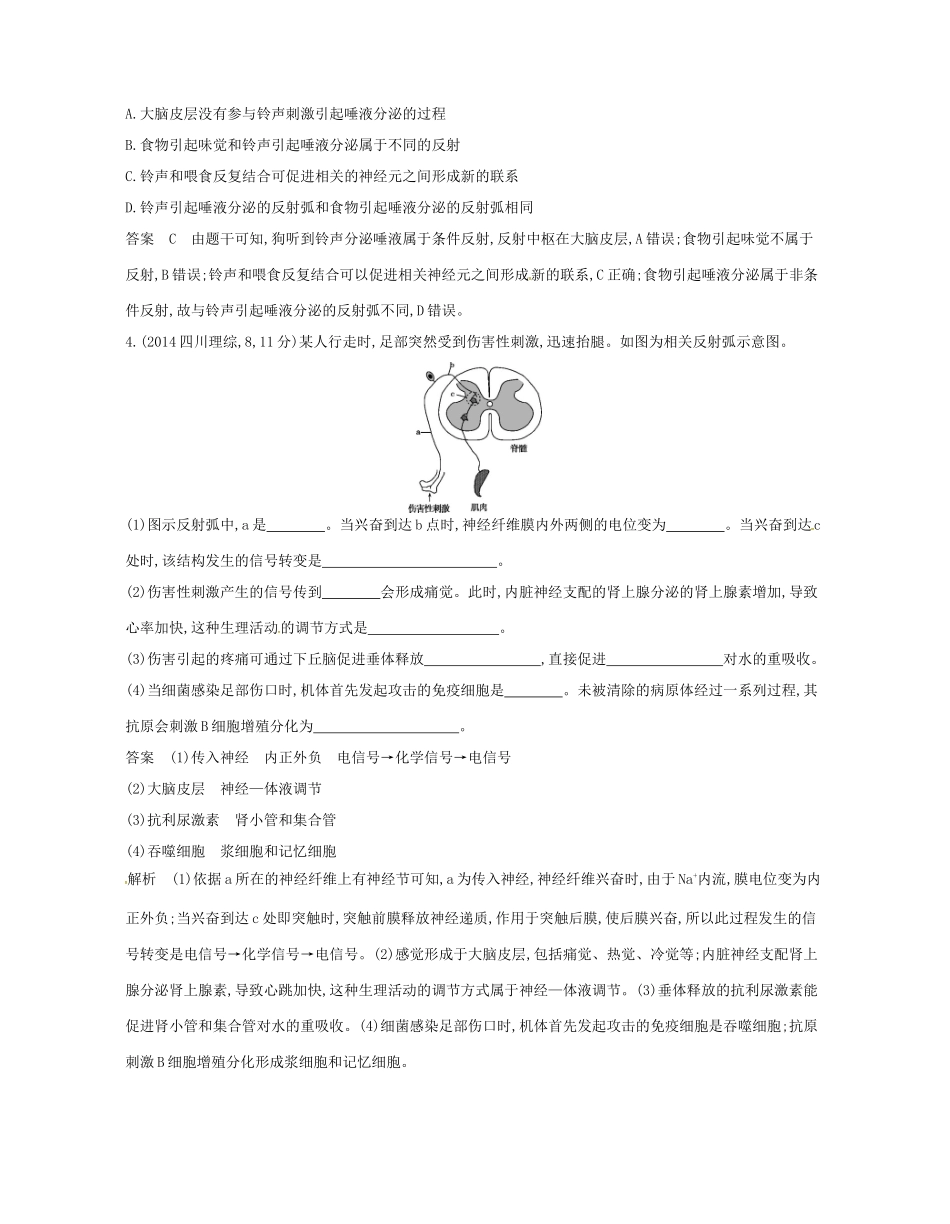 高考生物总复习 专题19 神经系统的结构与功能试题-人教版高三全册生物试题_第3页
