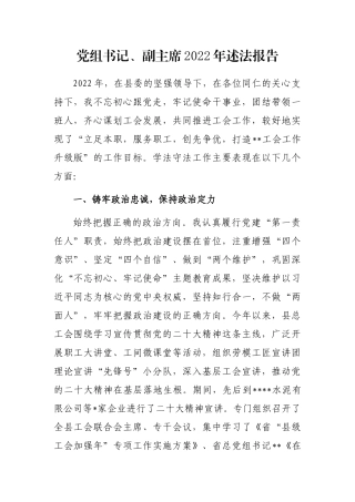 党组书记、副主席2022年述法报告