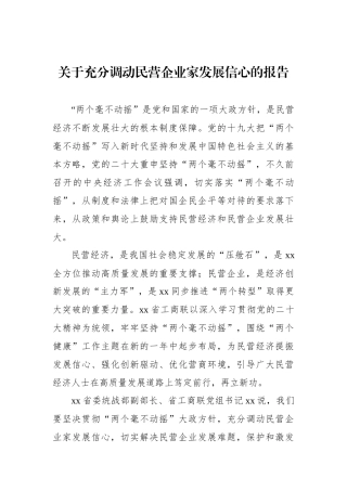 关于充分调动民营企业家发展信心的报告