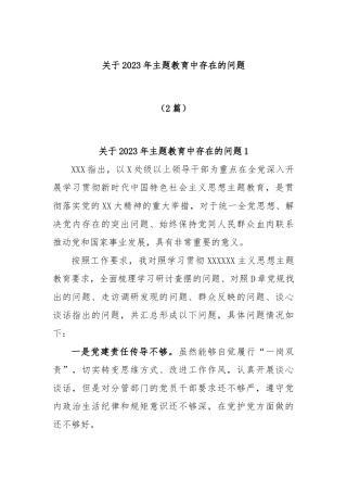 (2篇)2023年主题教育中存在的问题