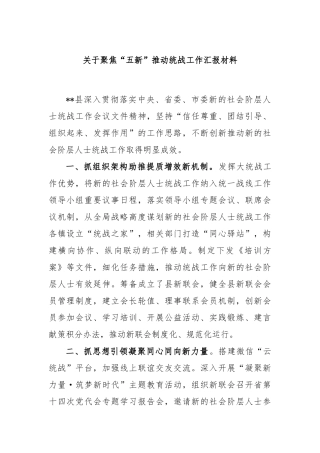 关于聚焦“五新”推动统战工作汇报材料