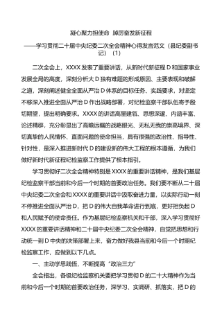 6篇学习贯彻二十届中纪委二次全会精神研讨发言