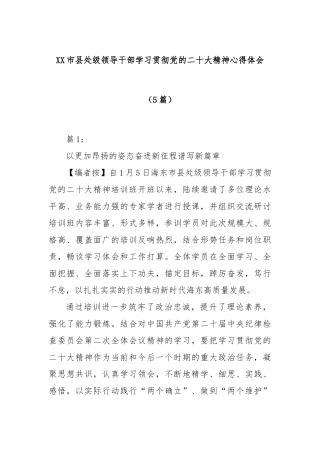 (5篇)市县处级领导干部学习贯彻党的二十大精神心得体会