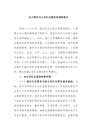 关于新时代公安队伍建设的调研报告