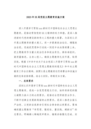 2023年局党组主题教育实施方案