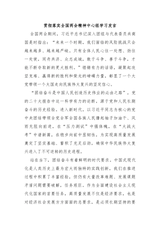 贯彻落实全国两会精神中心组学习发言