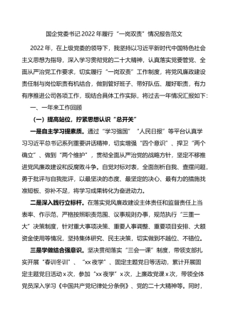 国企党委书记2022年履行“一岗双责”情况报告