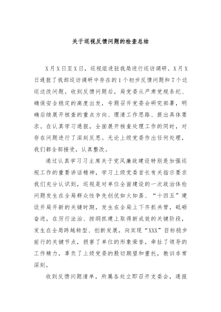关于巡视反馈问题的检查总结