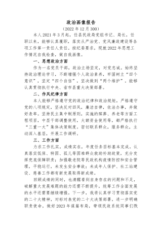 局党组书记局长党员领导干部个人政治画像报告.