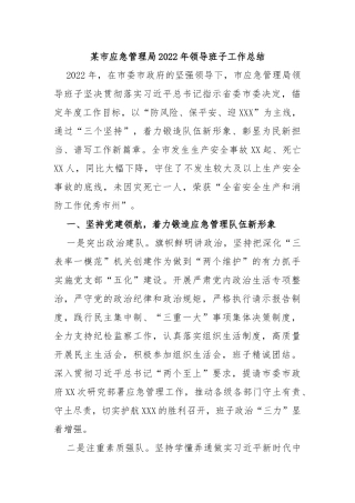 某市应急管理局2022年领导班子工作总结