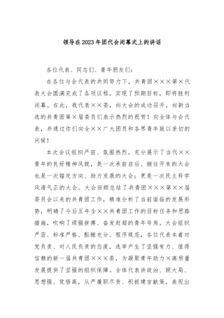 领导在2023年团代会闭幕式上的讲话