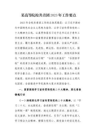 某高等院校共青团2023年工作要点