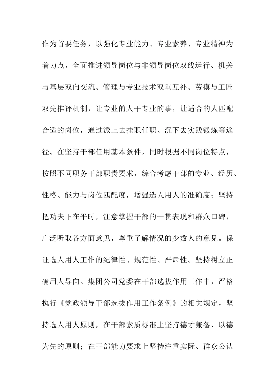 某国有企业分公司选人用人工作专题报告_第3页