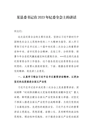 某县委书记在2023年纪委全会上的讲话
