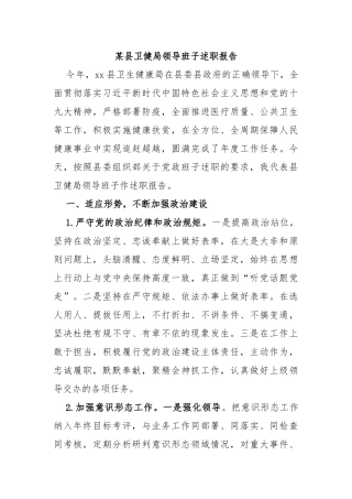 某县卫健局领导班子述职报告