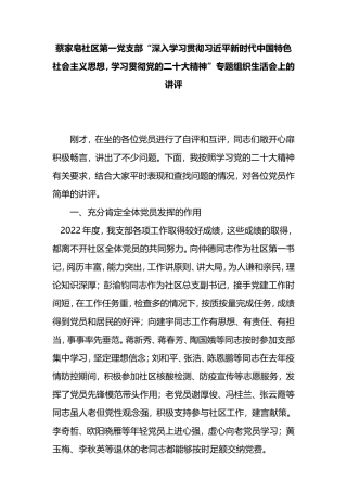 2023年第一支部讲评材料