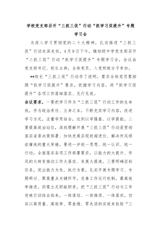 学校党支部召开“三抓三促”行动“抓学习促提升”专题学习会