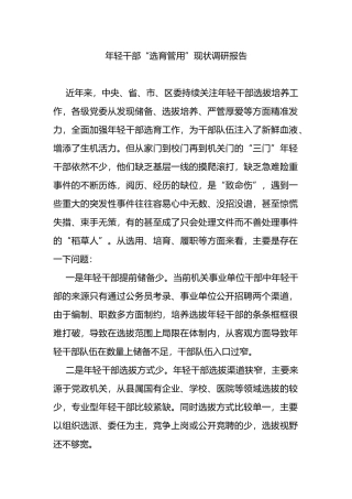 年轻干部“选育管用”现状调研报告
