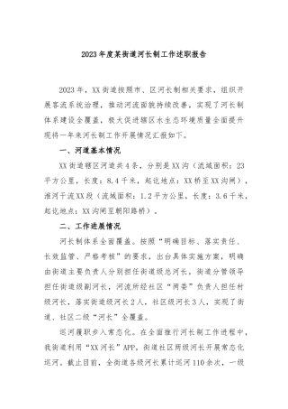 2023年度某街道河长制工作述职报告