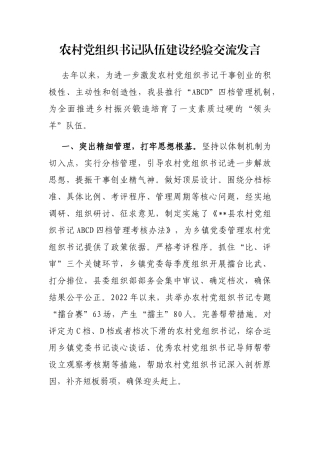 农村党组织书记队伍建设经验交流发言