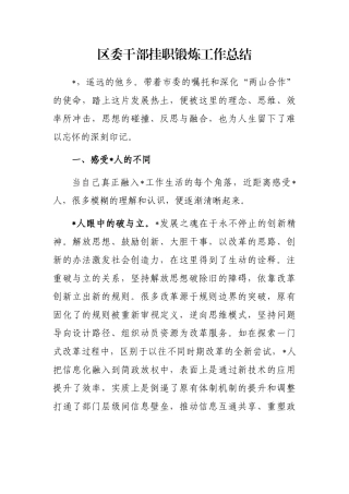 区委干部挂职锻炼工作总结