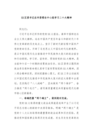 区委书记在市委理论中心组学习二十大精神
