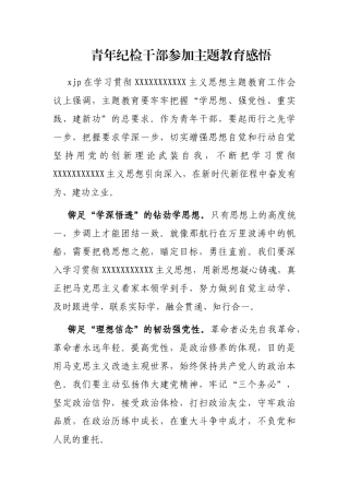 青年纪检干部参加主题教育感悟