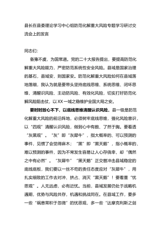 防范化解重大风险专题学习研讨交流会上的发言