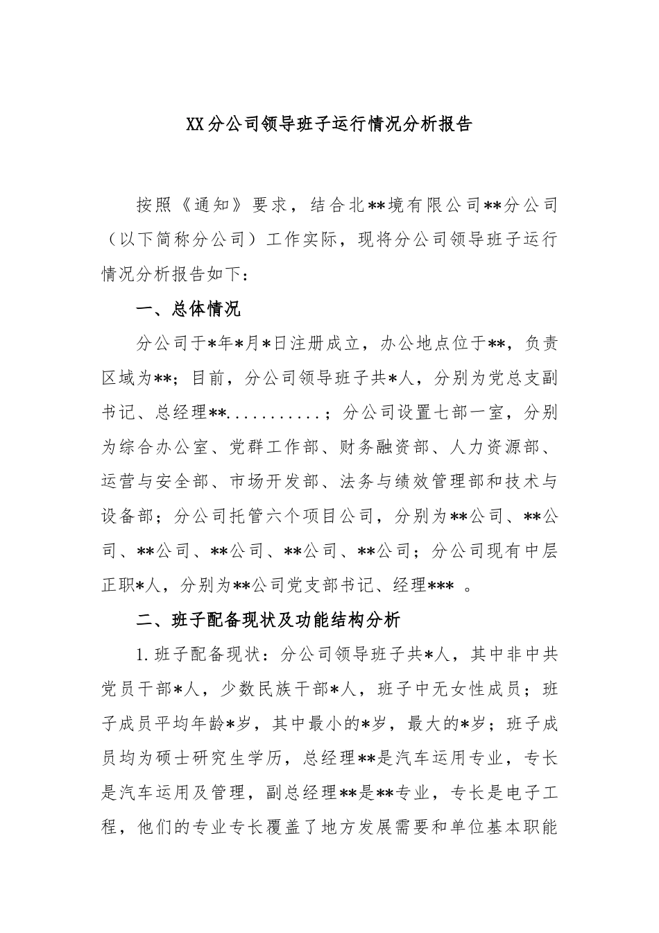 分公司领导班子运行情况分析报告_第1页