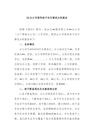 分公司领导班子运行情况分析报告