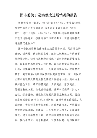 团市委关于巡察整改进展情况的报告