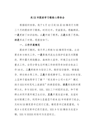 赴市跟班学习锻炼心得体会