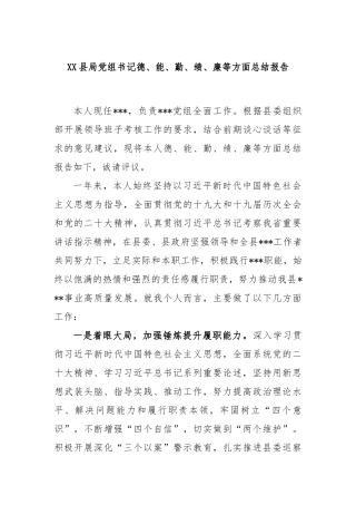 县局党组书记德、能、勤、绩、廉等方面总结报告