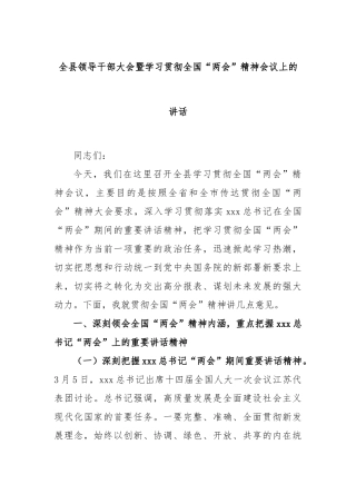全县领导干部大会暨学习贯彻全国“两会”精神会议上的讲话
