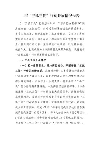 市“三抓三促”行动开展情况报告