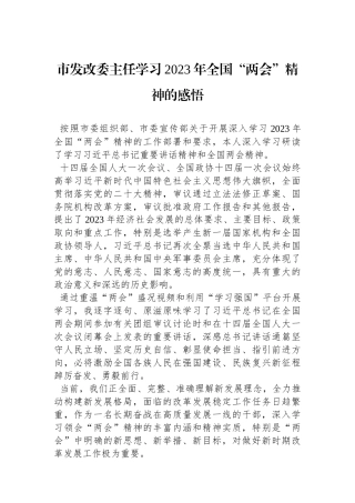 市发改委主任学习2023年全国“两会”精神的感悟
