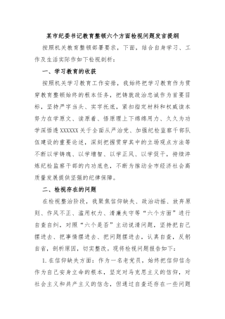 市纪委书记教育整顿六个方面检视问题发言提纲