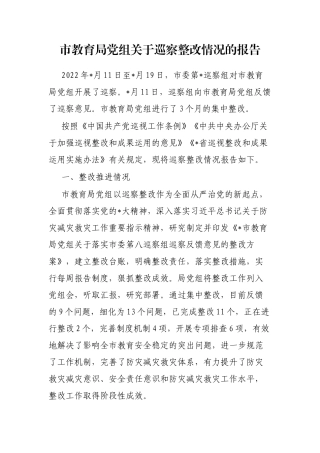 市教育局党组巡察整改情况的报告