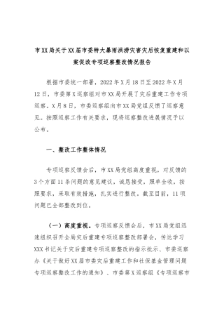 市局届市委特大暴雨洪涝灾害灾后恢复重建和以案促改专项巡察整改情况报告