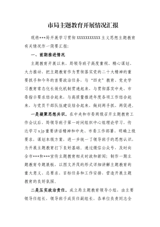 市局主题教育开展情况汇报